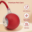 Bola Interativa para Pets