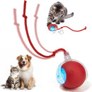 Bola Interativa para Pets